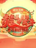 《2024湖北春晚》：龙腾楚天，欢笑贺岁！深度解析节目亮点与幕后故事